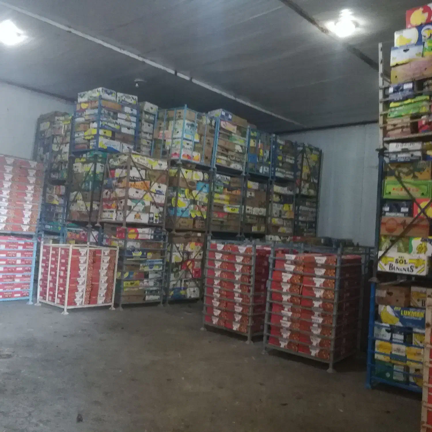 اجاره سردخانه و سالن (جاده بنداروز)|اجارهٔ دفتر صنعتی، کشاورزی، تجاری|برازجان, |دیوار