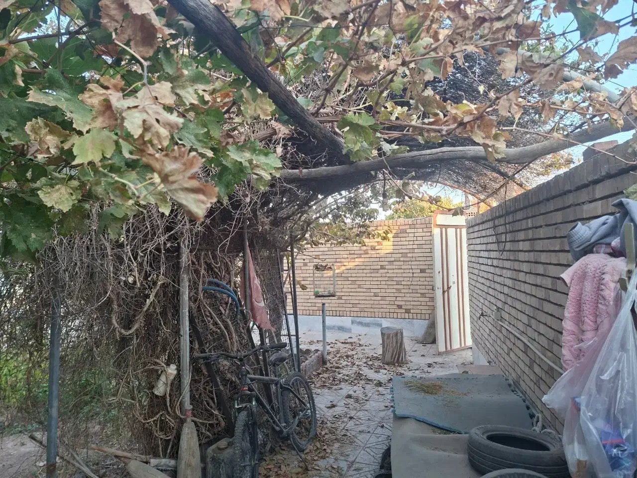 فروش منزل ویلایی در جوپار|فروش خانه و ویلا|ماهان, |دیوار