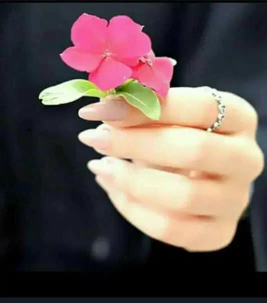 گمشده|اشیا|رفسنجان, |دیوار