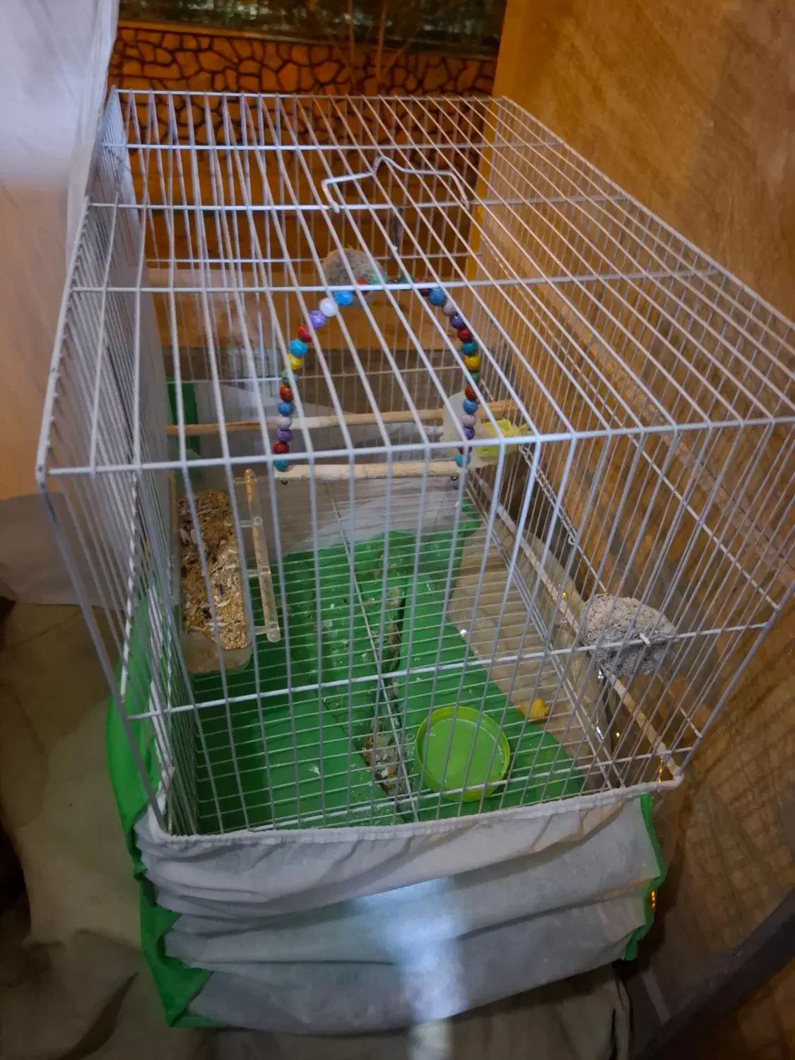 قفس سالم و نو|لوازم جانبی حیوانات|مشهد, چهارچشمه|دیوار