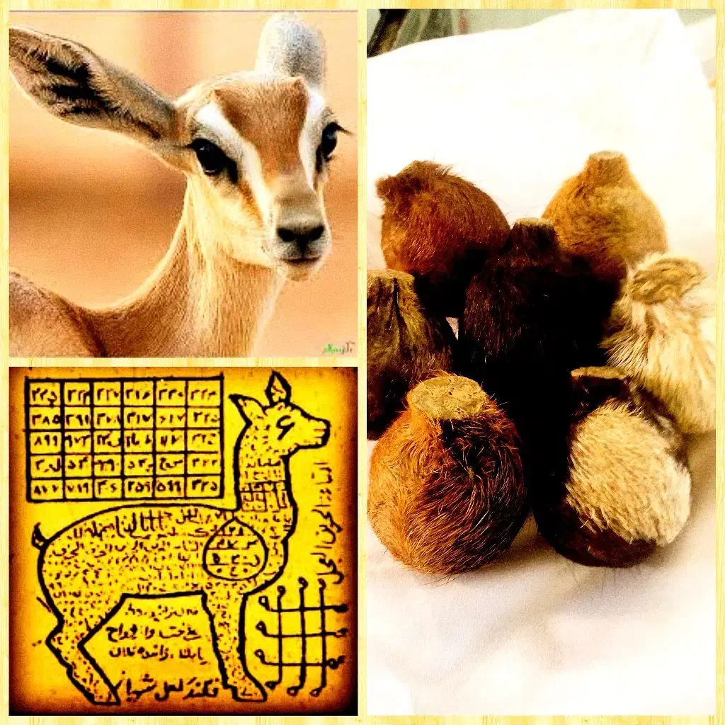 کتاب. قدیمی .جفت بودن. ستاره. کارهای مثبت|کتاب و مجله تاریخی|تبریز, |دیوار
