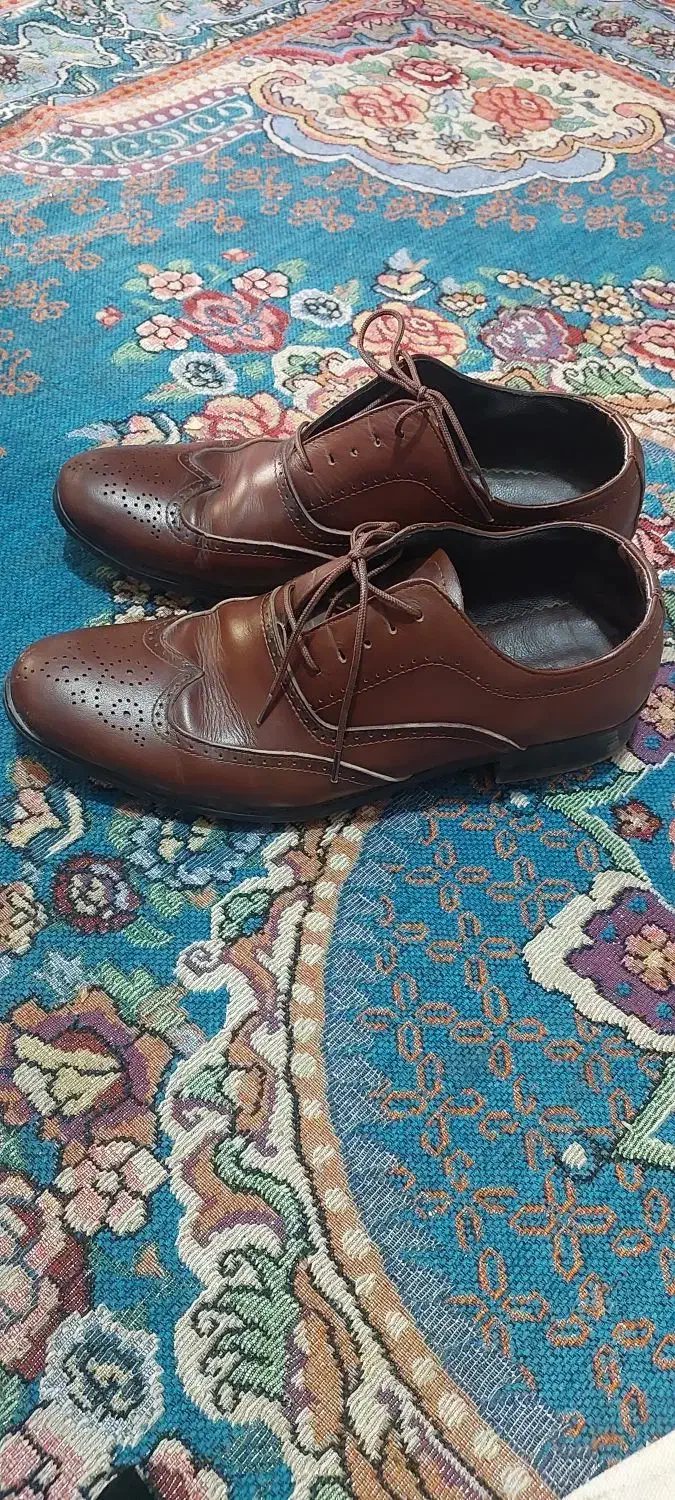 کفش چرم|کیف، کفش، کمربند|کرج, کرج نو|دیوار