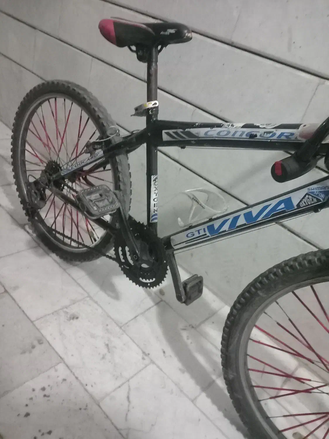 دوچرخه ۲۴ ویوا|دوچرخه، اسکیت، اسکوتر|گلستان (تهران), |دیوار