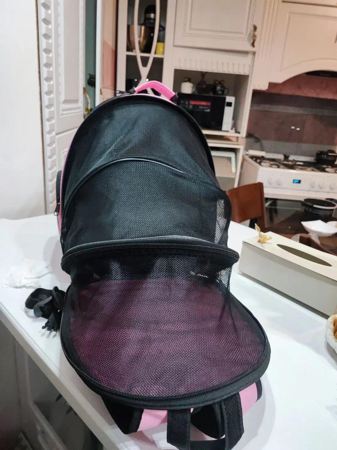 کیف حمل گربه و سگ|لوازم جانبی حیوانات|پردیس, فاز ۴|دیوار