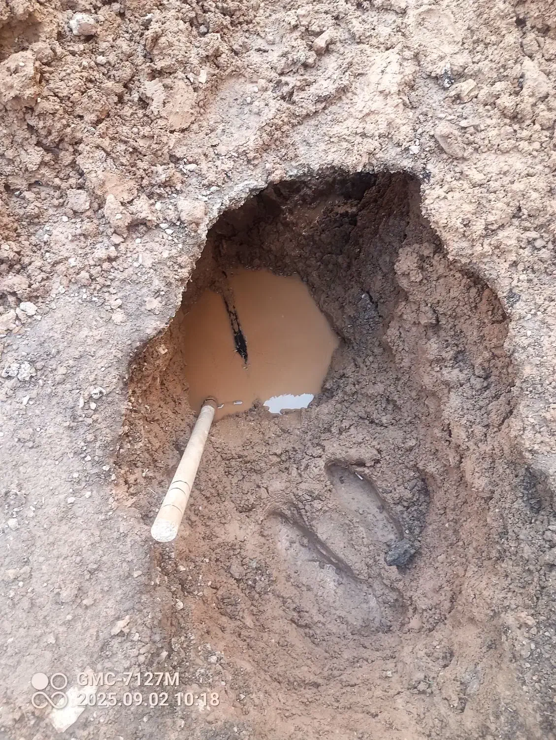 پیکور کاری دیوار جاپی سقف ستون ( سلیمانی)|خدمات پیشه و مهارت|کرمان, |دیوار