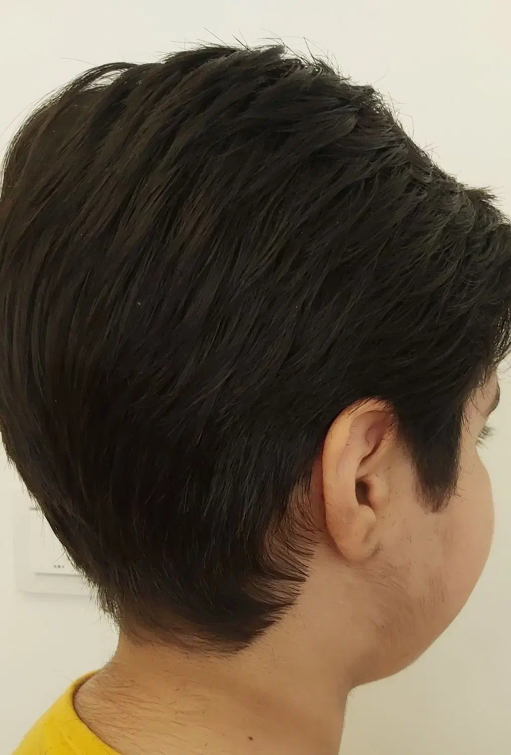 خدمات کوتاهی مو|خدمات آرایشگری و زیبایی|تهران, قلهک|دیوار