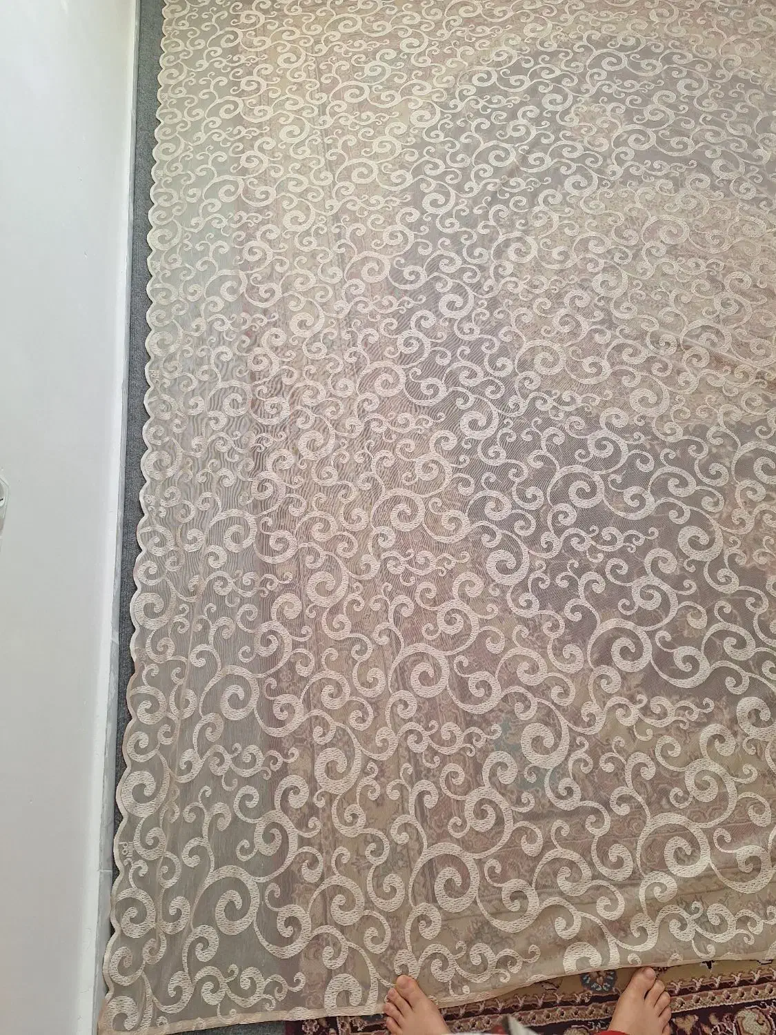 پرده ۲ عدد|پرده، رانر، رومیزی|سهند, |دیوار