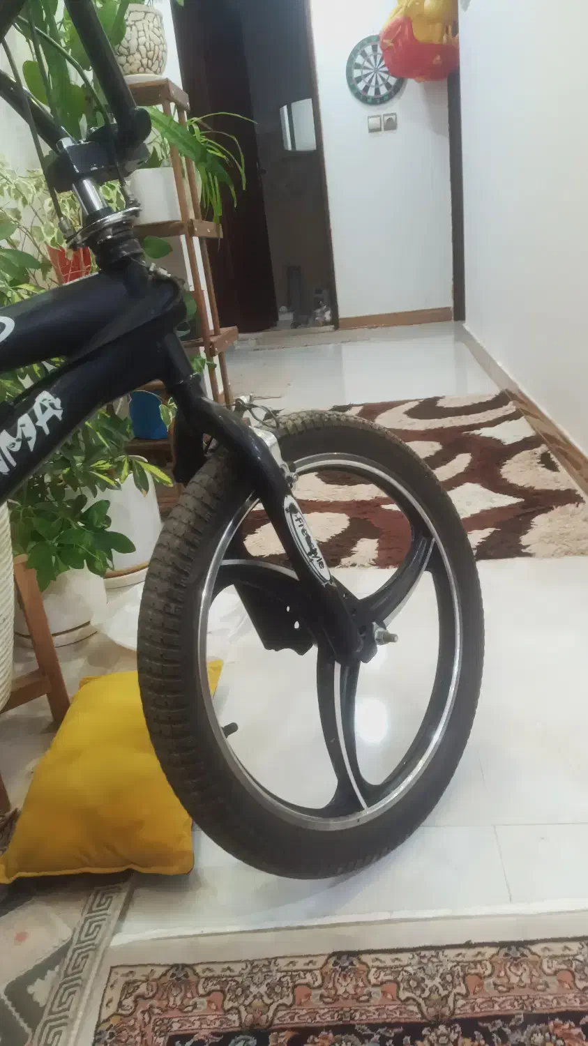 دوچرخه یاماها و ماکسیما|دوچرخه، اسکیت، اسکوتر|شاهین‌شهر, پاسداران|دیوار