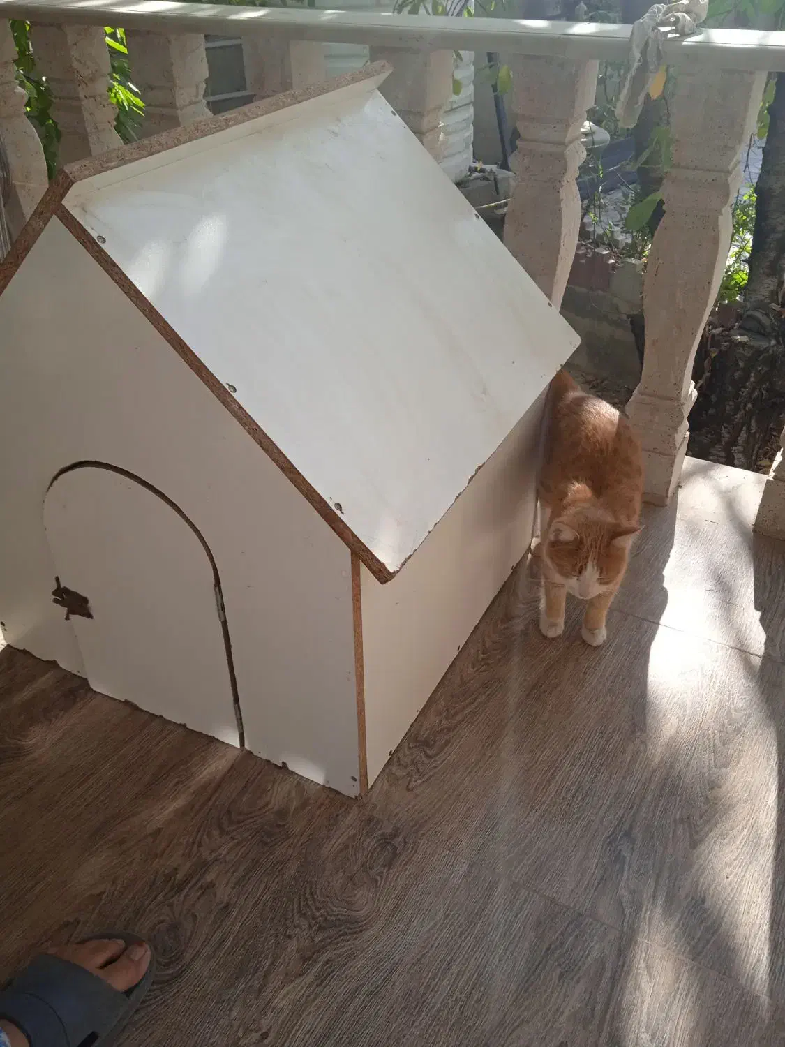 لانه سگ|لوازم جانبی حیوانات|هشتگرد, فشند|دیوار