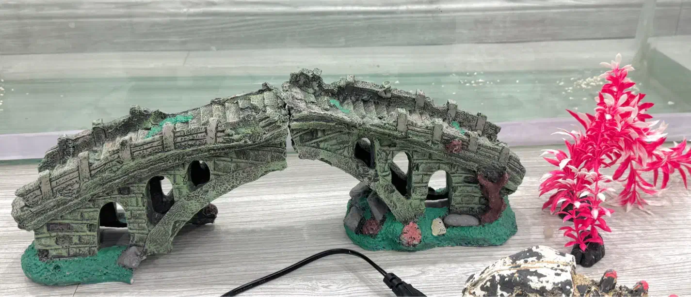 ماهی فایتر و غذای فایتر و دکوری پل و یک زایشگاه|ماهی|مشهد, شهید فرامرز عباسی|دیوار