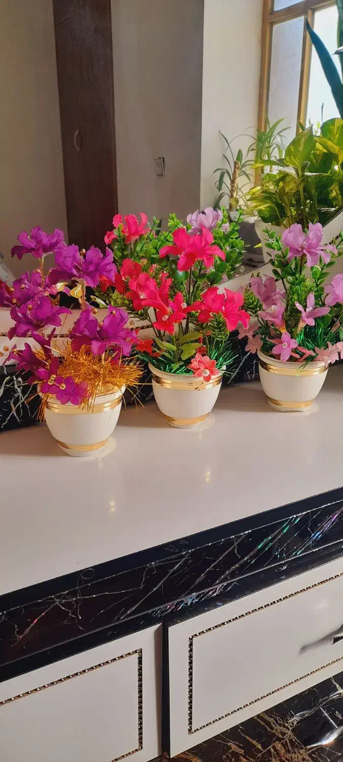 ابغوره|خوردنی و آشامیدنی|یاسوج, |دیوار