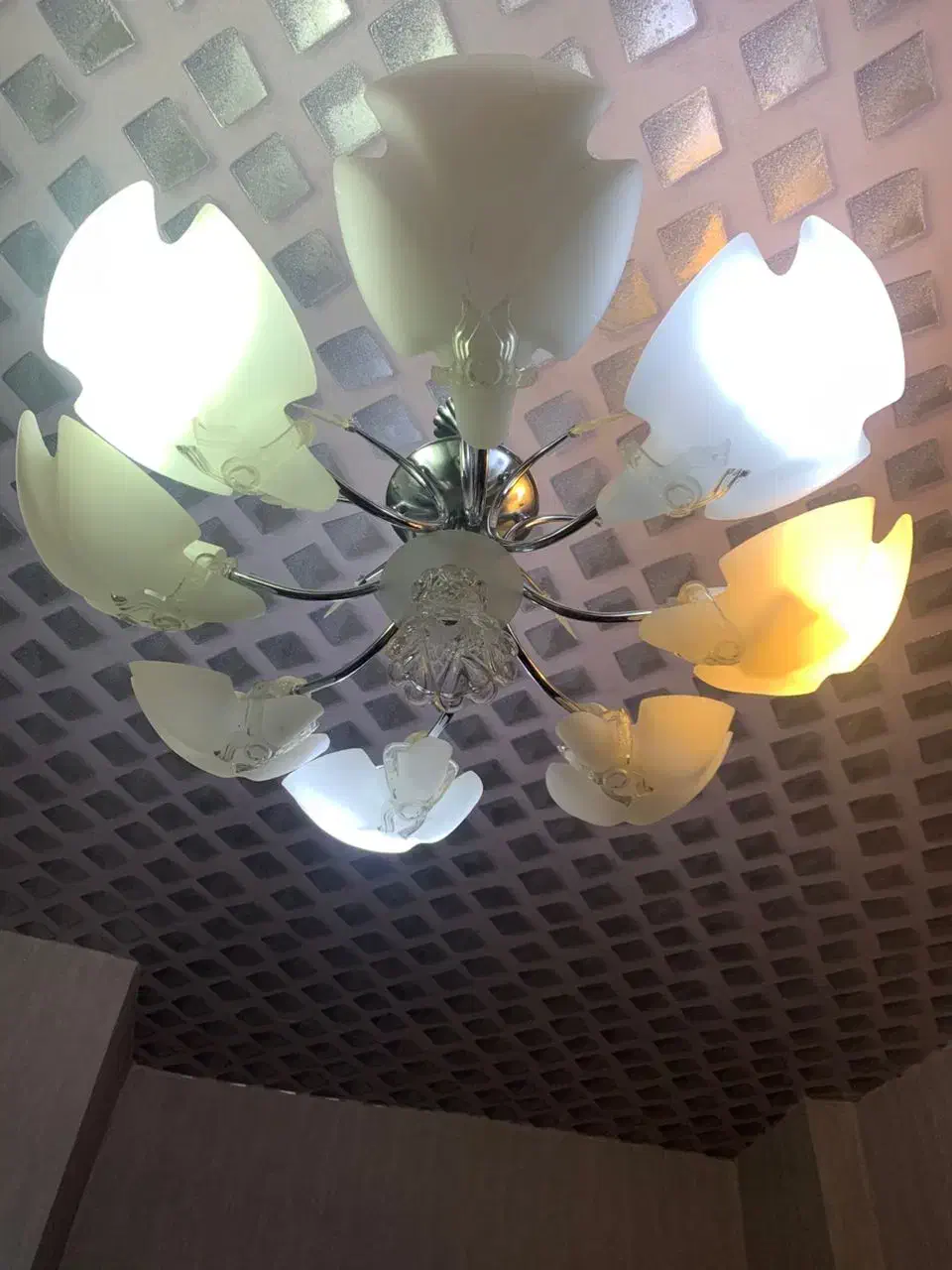 لوستر هشت شاخه|لوستر و چراغ آویز|اردبیل, |دیوار