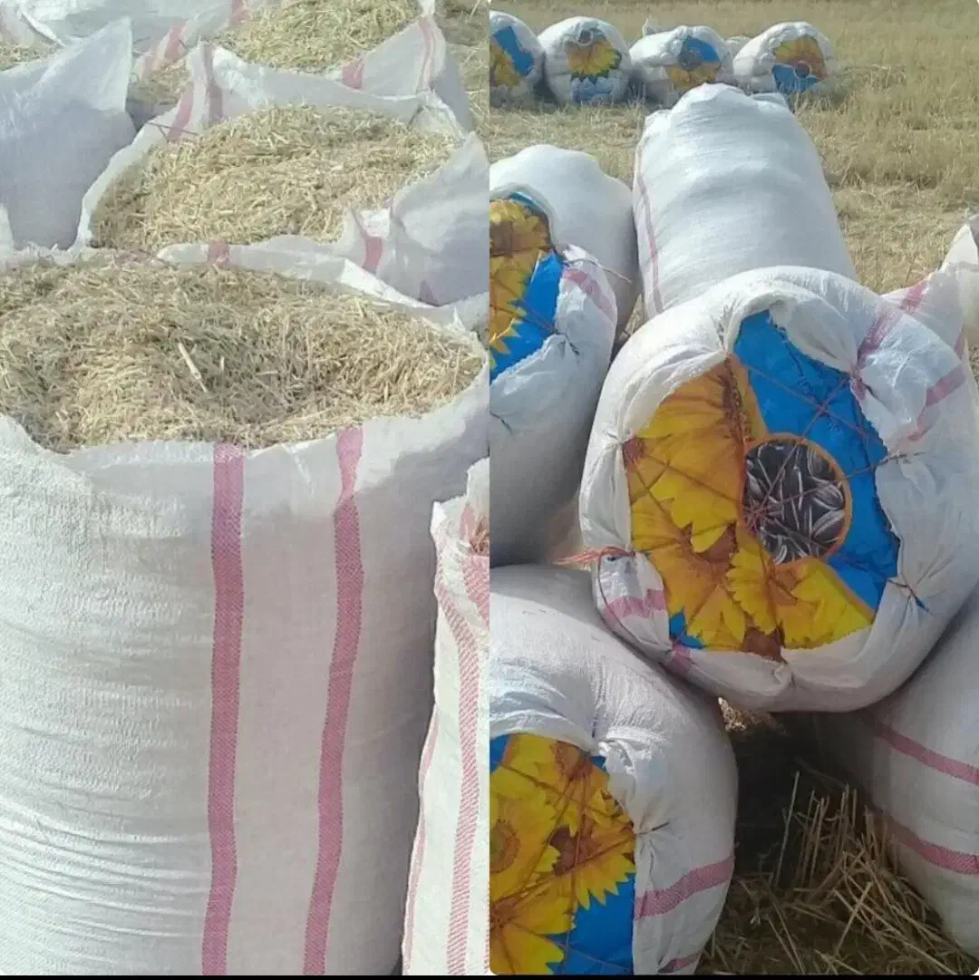 کاه خوشه گندم|لوازم جانبی حیوانات|اندیکا, |دیوار