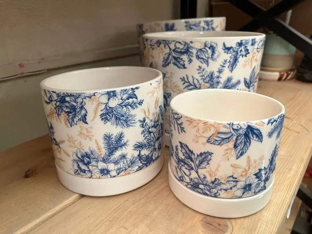 گلدان سرامیکی لوکس خاص با کیفیت|گل و گیاه طبیعی|تهران, افسریه جنوبی|دیوار