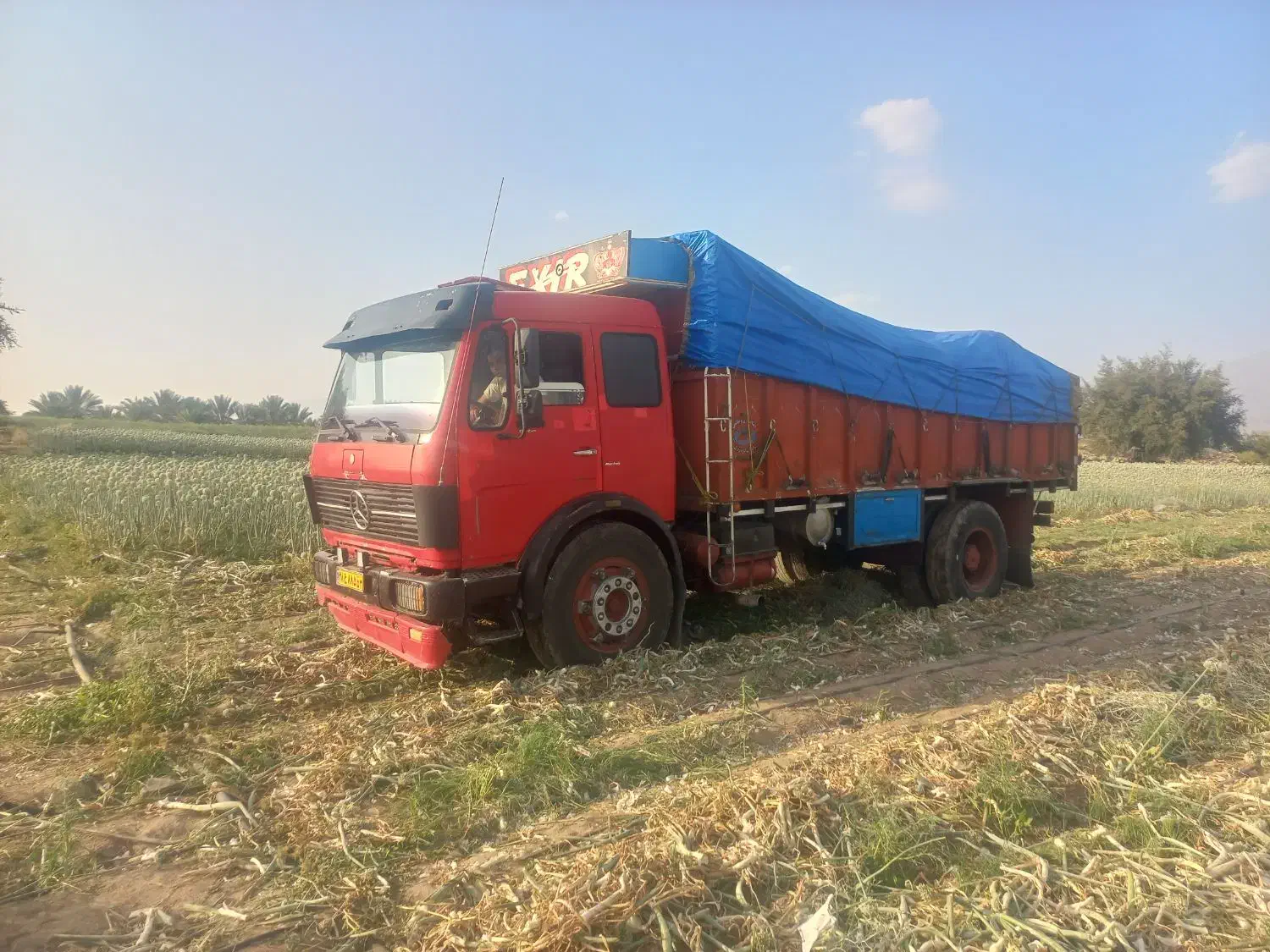 بنز تک ده سیلندر|خودرو سنگین|کاشان, باغ ماجد|دیوار