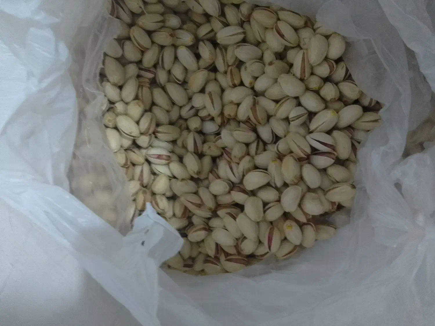 پسته درجه یک|خوردنی و آشامیدنی|تربت جام, کلالی|دیوار