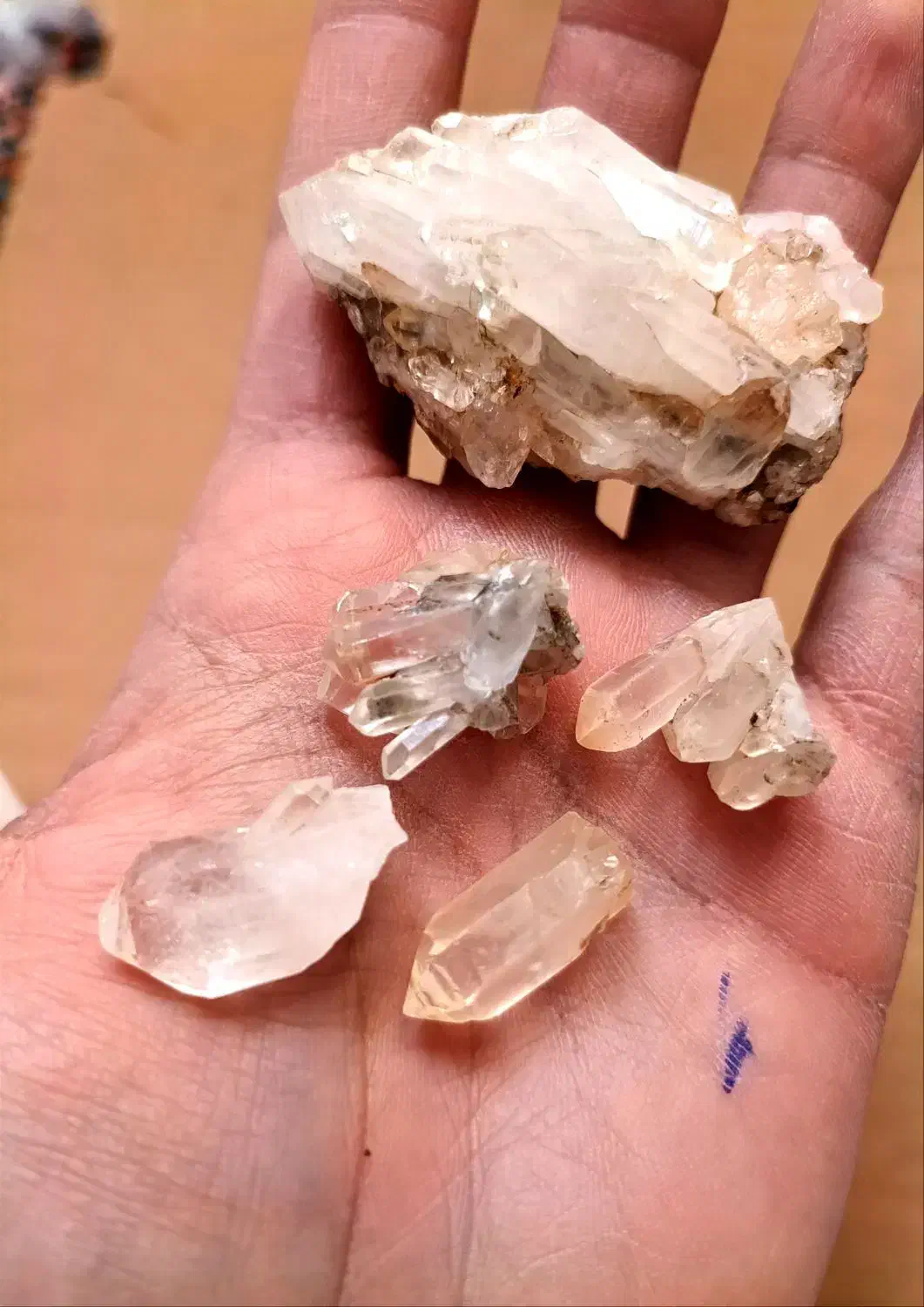 دُر کوهی|کلکسیون و سرگرمی|زاهدان, |دیوار