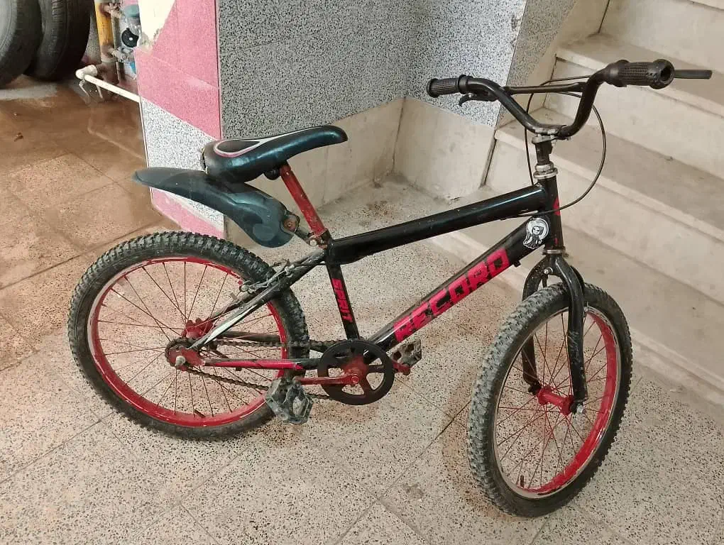 دوچرخه|دوچرخه، اسکیت، اسکوتر|مسجد سلیمان, |دیوار