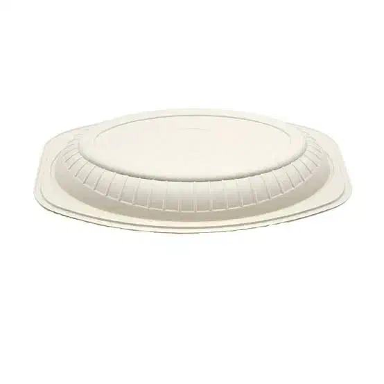 یکبارمصرف گیاهی|ظروف نگهدارنده، پلاستیکی، یک‌بارمصرف|رشت, ولکس|دیوار