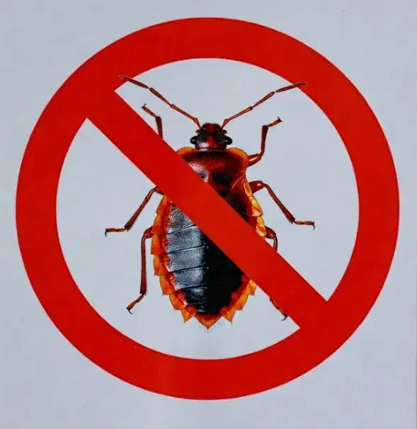 سمپاشی اصولی با تضمین یک ساله|خدمات نظافت|تهران, منیریه|دیوار