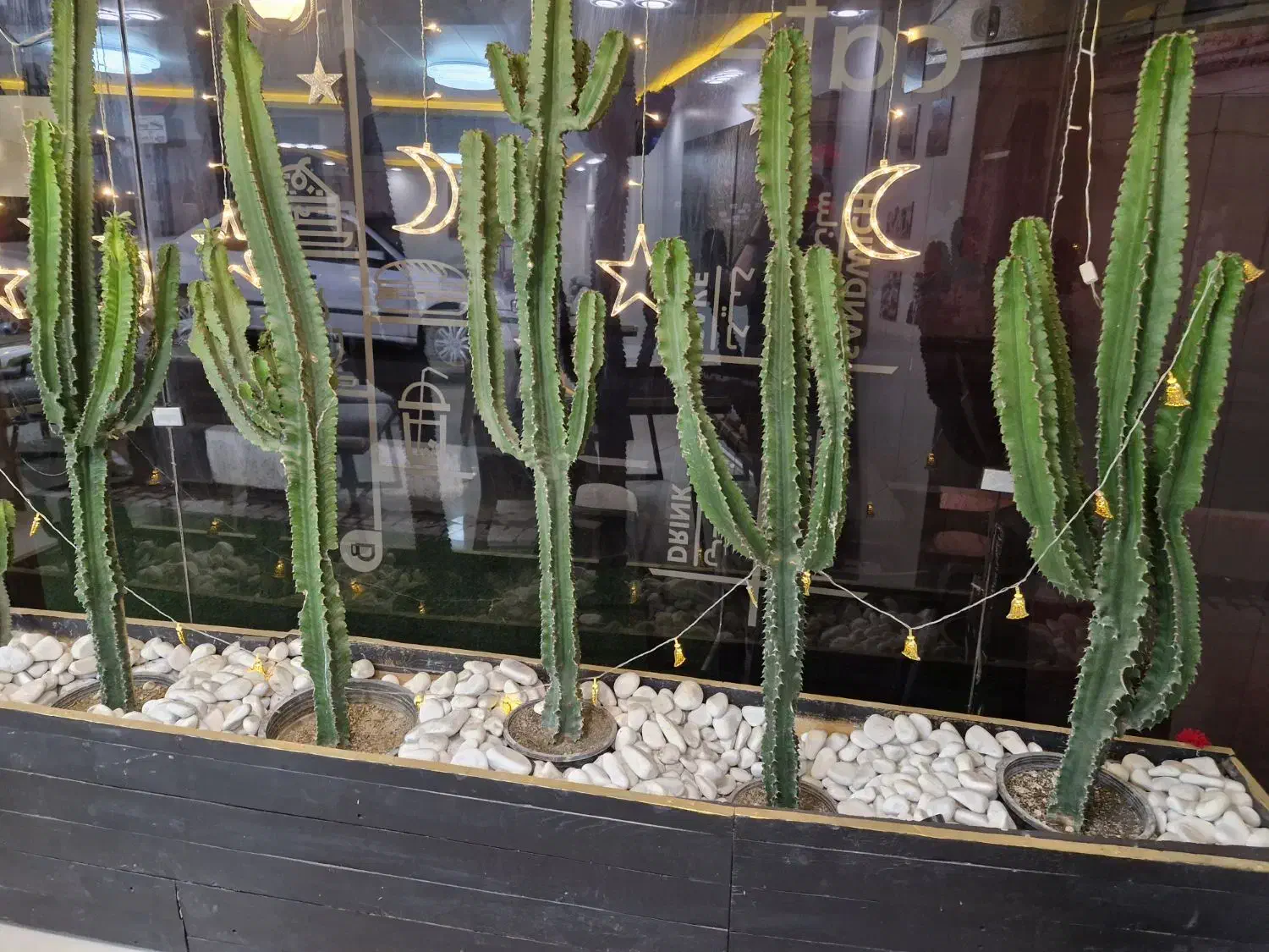 استخدام نیروی کار ساده|استخدام خدمات فروشگاه و رستوران|تهران, بلوار کشاورز|دیوار