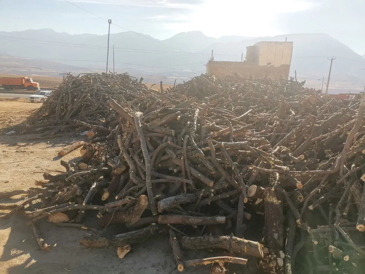 چوب سیب|خدمات باغبانی و درختکاری|تهران, سلسبیل شمالی|دیوار