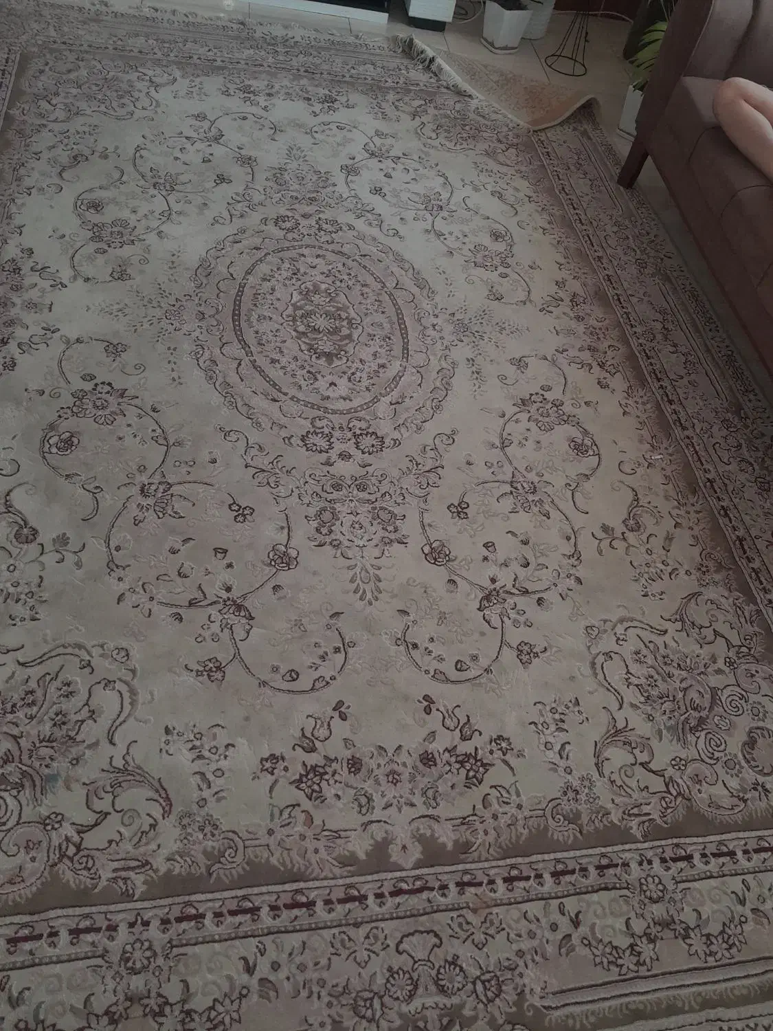 فرش|فرش|لاهیجان, کوی زمانی|دیوار