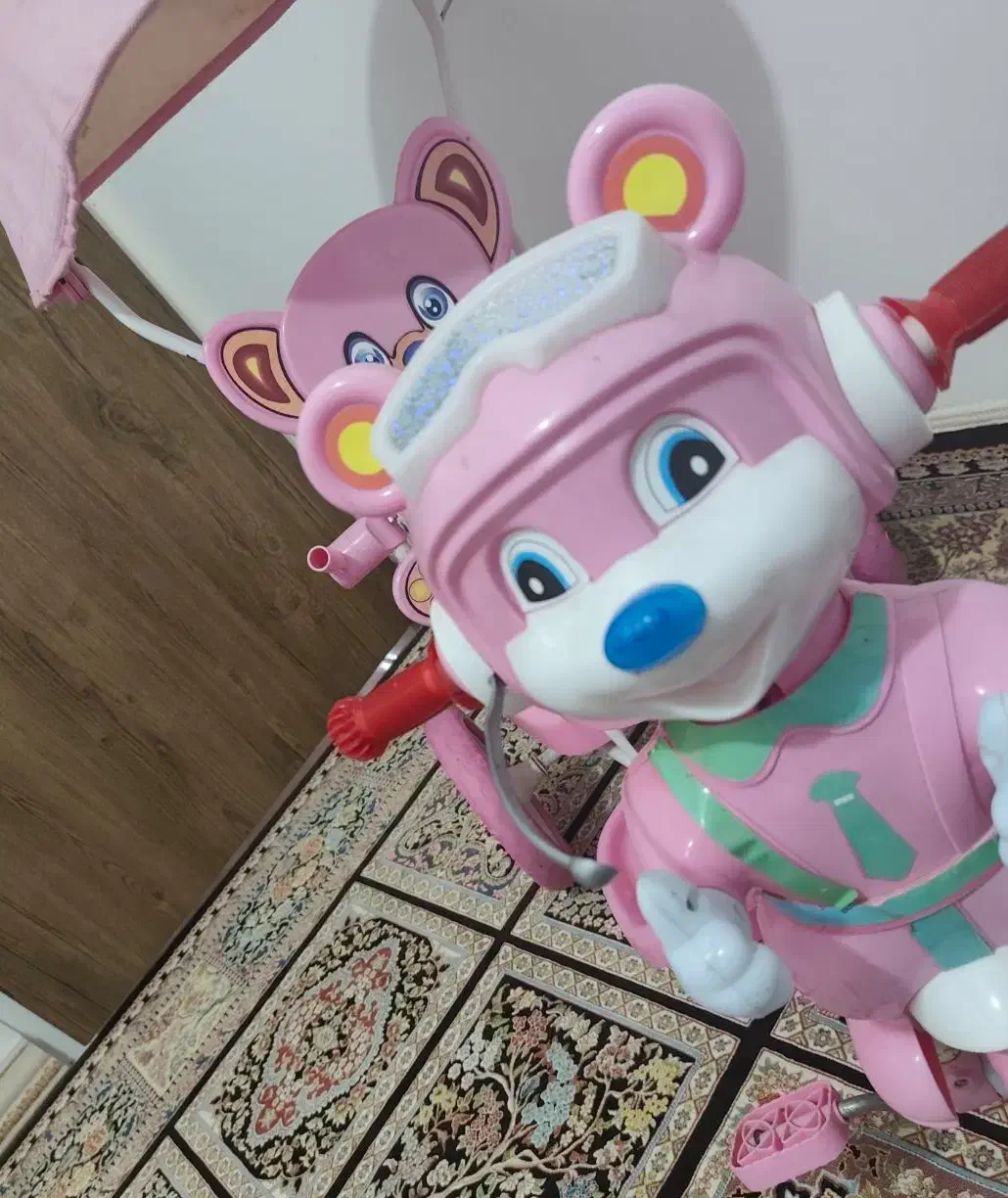 سه چرخه|دوچرخه، اسکیت، اسکوتر|زرندیه, |دیوار