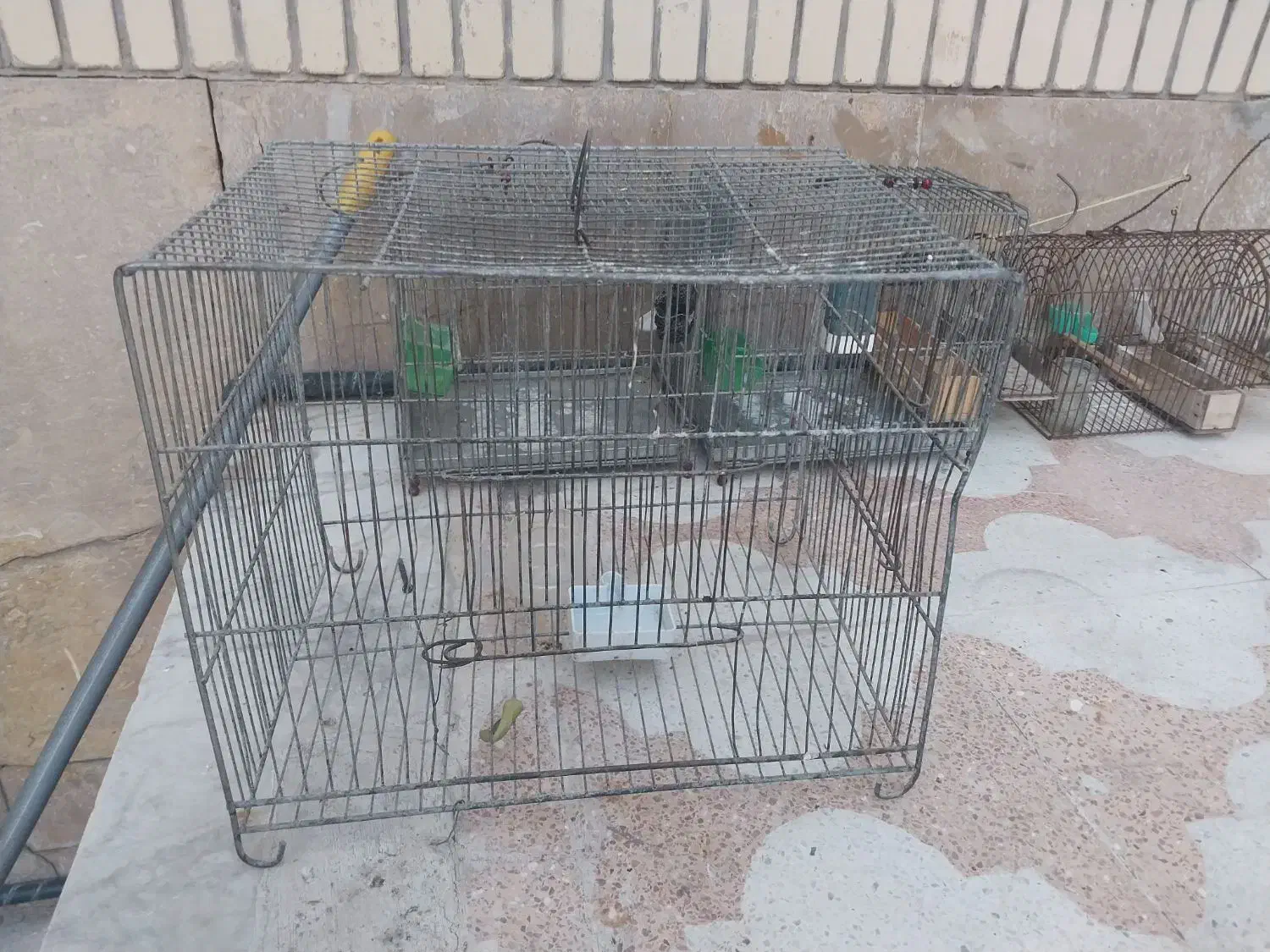 قفس پرنده|لوازم جانبی حیوانات|شیراز, تندگویان|دیوار