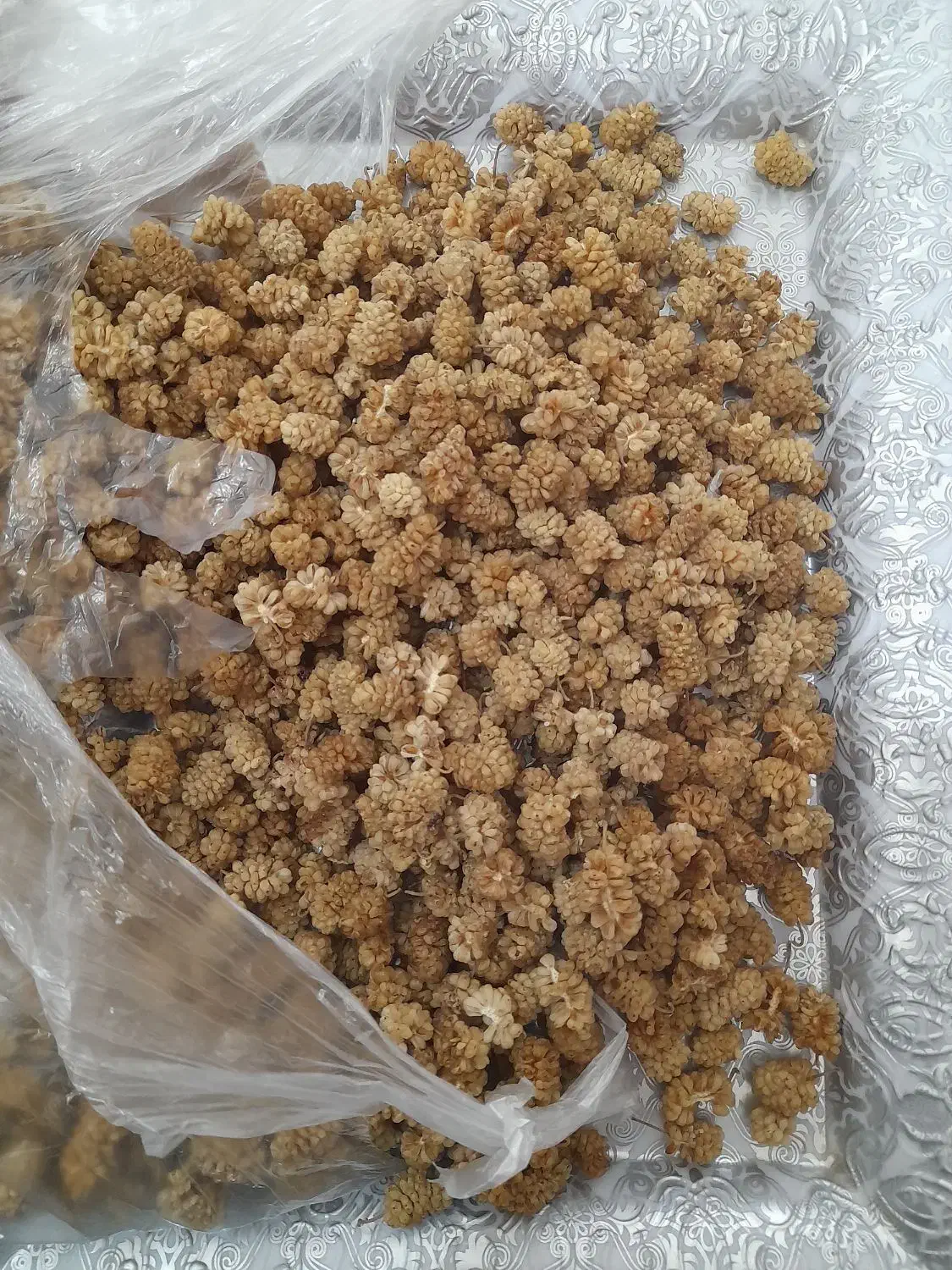 توت|حراج|جوانرود, |دیوار