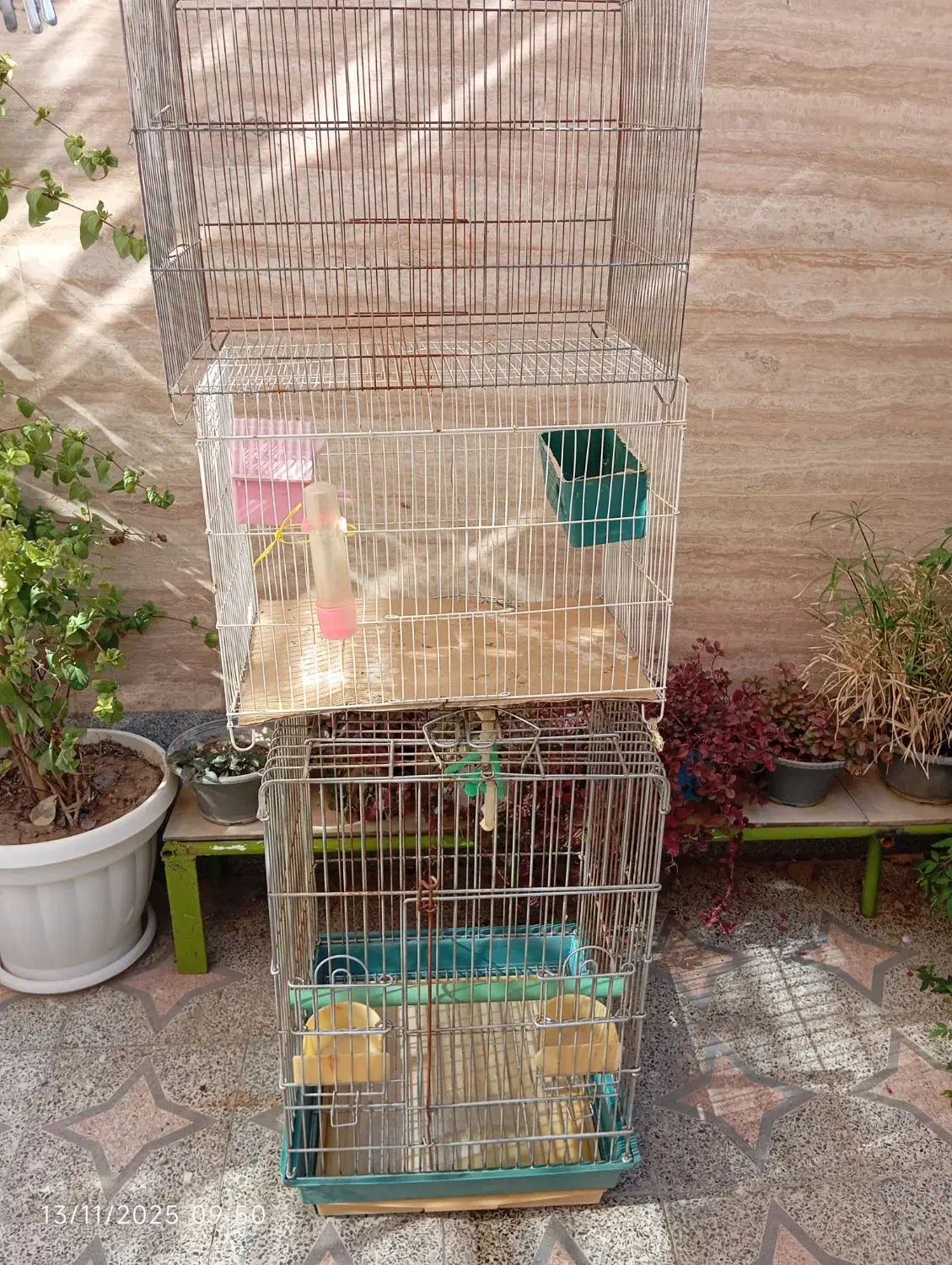 قفس|لوازم جانبی حیوانات|شیراز, کوزه گری|دیوار