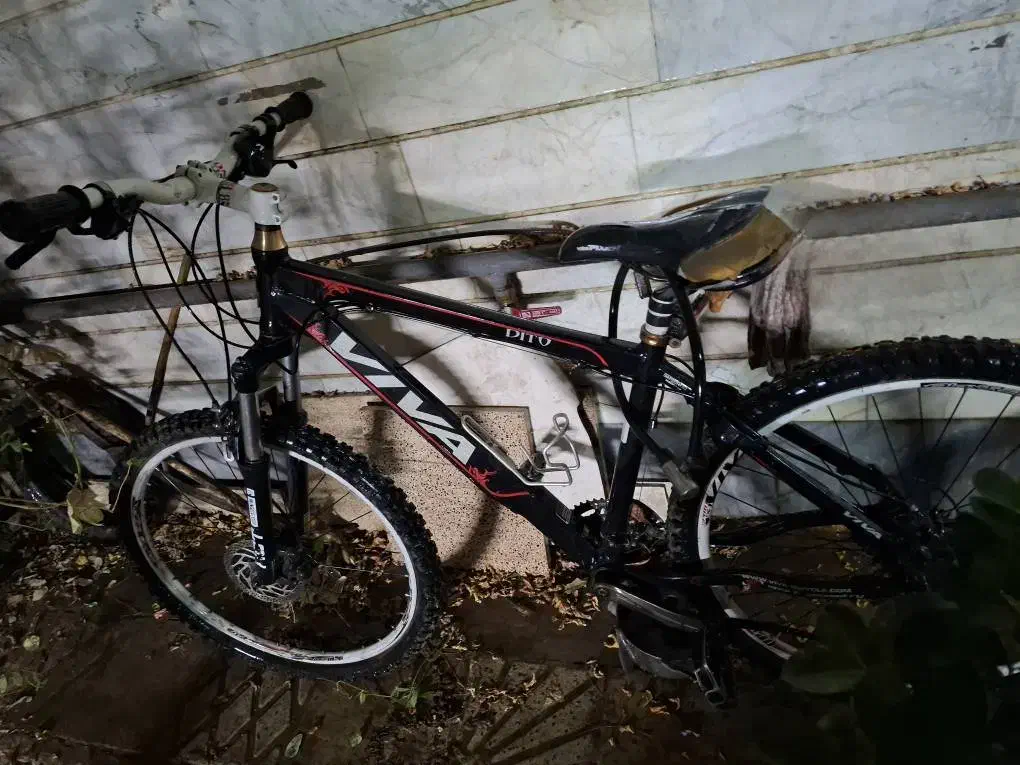 دوچرخه VIVAتایلندی|دوچرخه، اسکیت، اسکوتر|تهران, آهنگ|دیوار