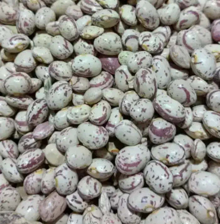 لوبیا چیتی|خوردنی و آشامیدنی|داران, |دیوار