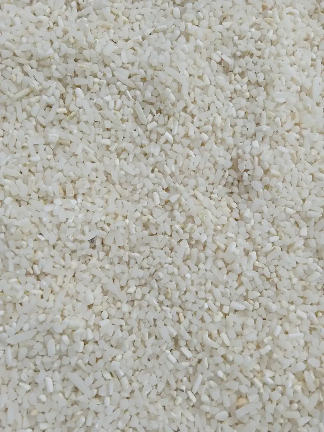 نیم دانه ریز دمسیاه|خوردنی و آشامیدنی|کوچصفهان, |دیوار