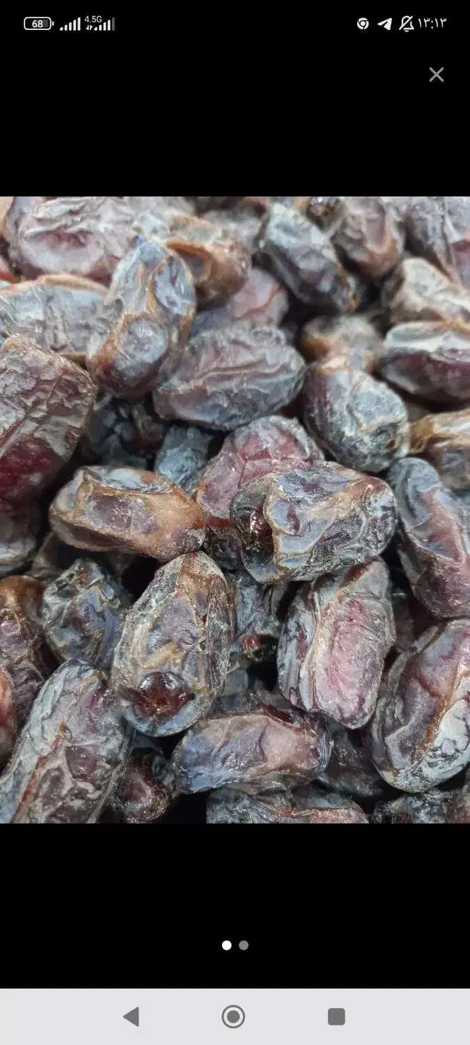 خرمای کبکاب|خوردنی و آشامیدنی|شیراز, شهرک گلستان شمالی|دیوار