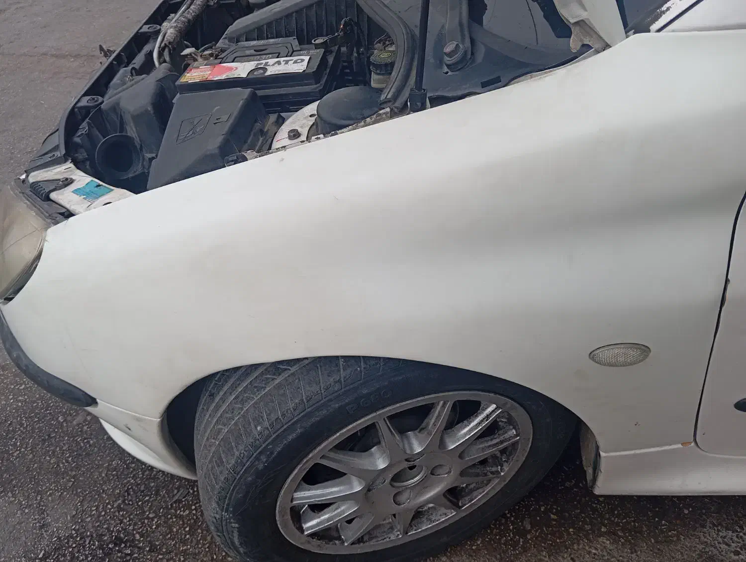 کاپوت و گلگیر ۲۰۶سمت راننده|قطعات یدکی و لوازم جانبی|شیراز, شهرک کوثر|دیوار