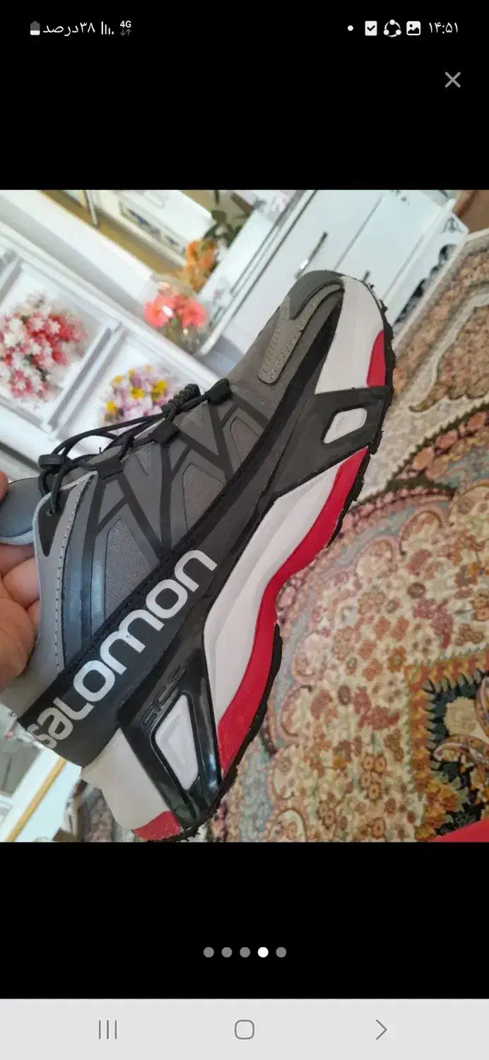 کفش نو|کیف، کفش، کمربند|سنندج, |دیوار