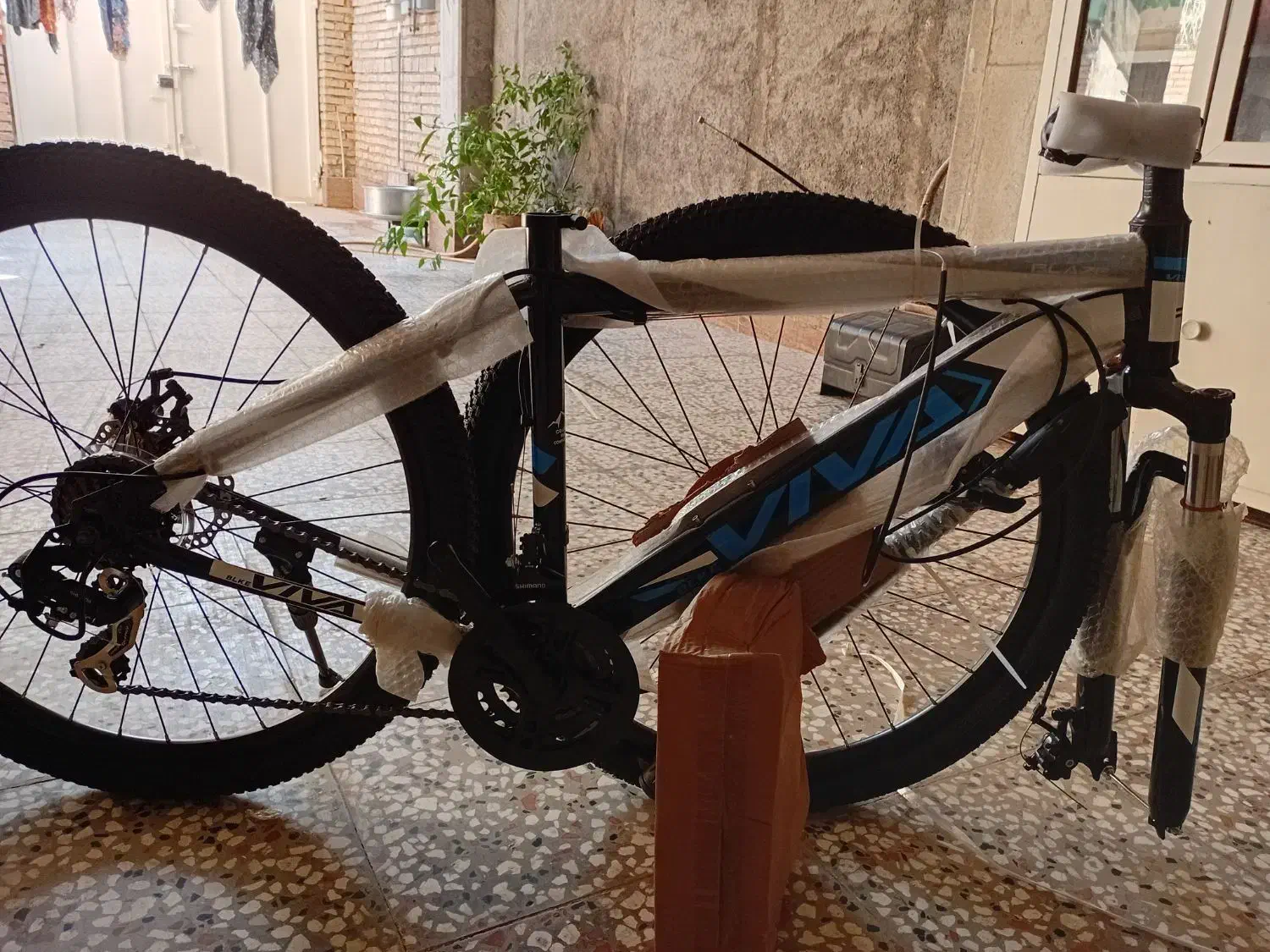 دوچرخه ویوا|دوچرخه، اسکیت، اسکوتر|گنبد کاووس, |دیوار