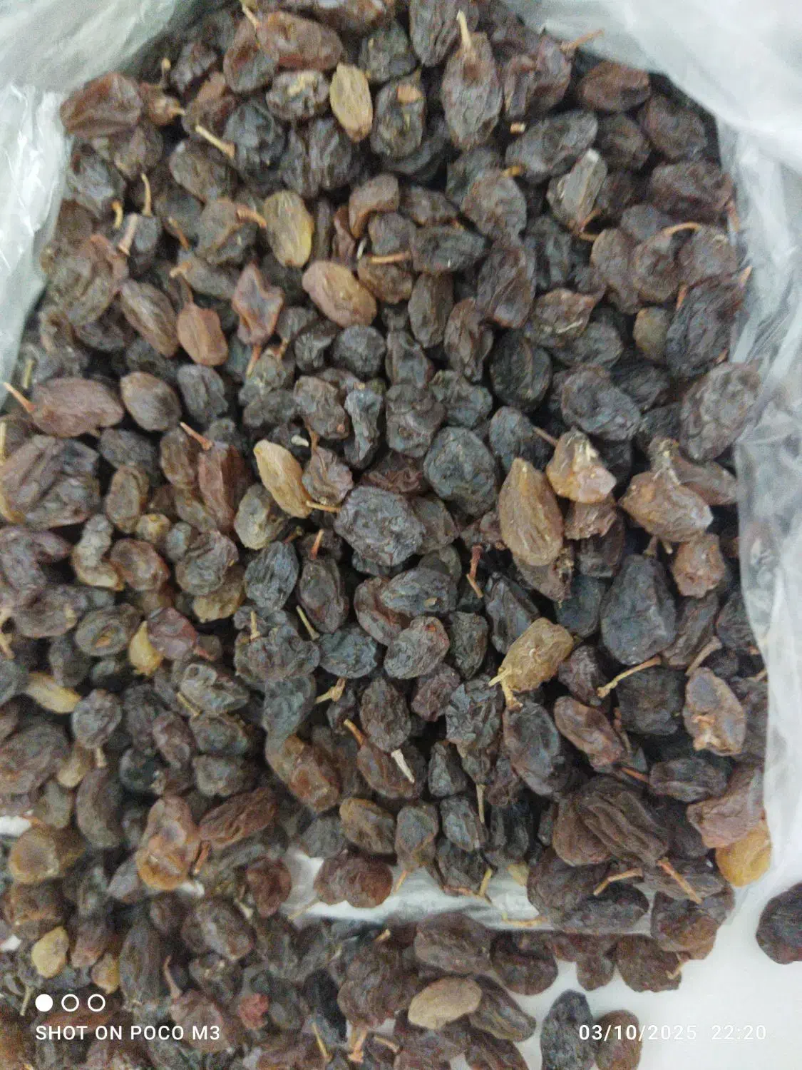 فروش کشمش بیدانه|خوردنی و آشامیدنی|قزوین, |دیوار
