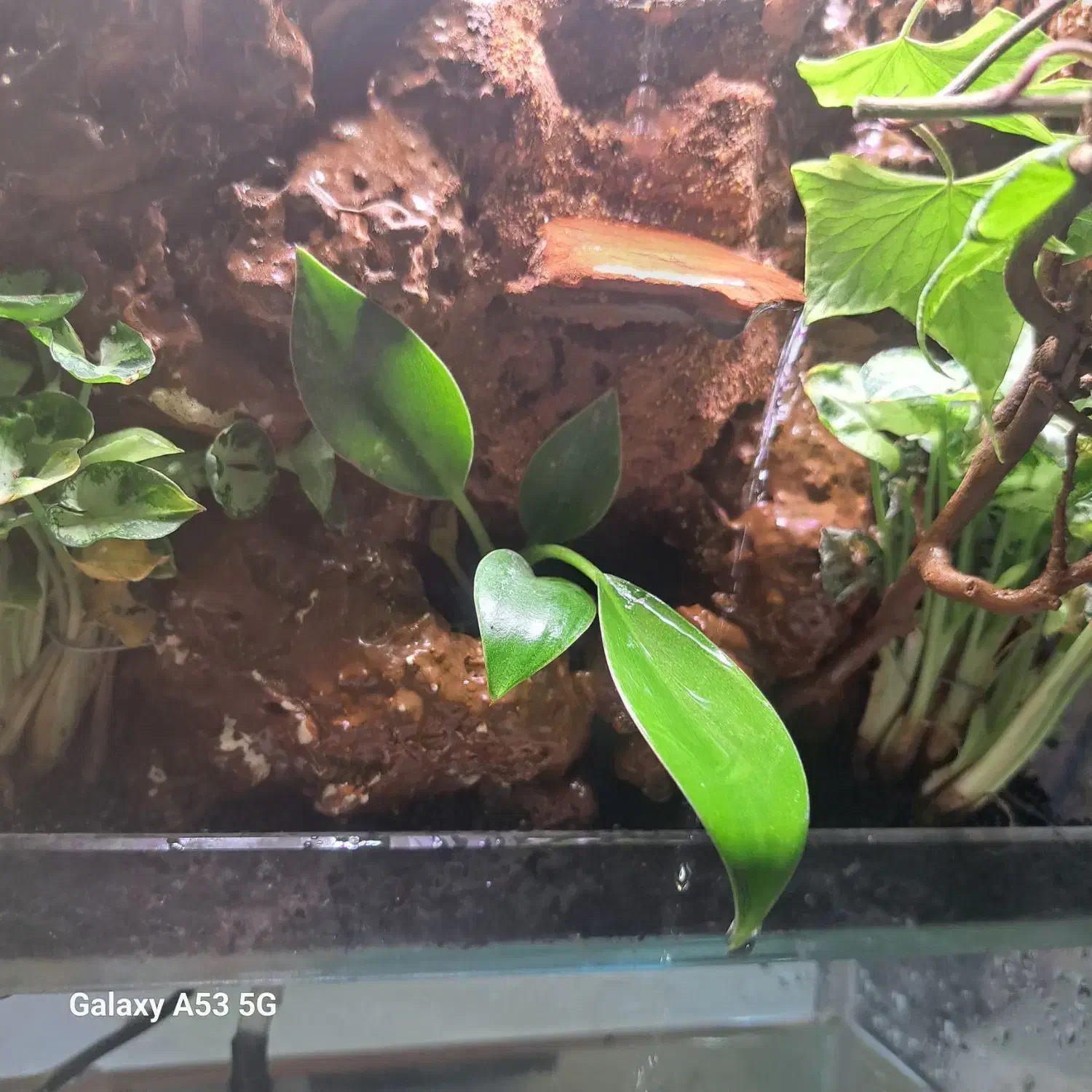 اجاره باغ برای مجالس تولد و مهمونی|اجارهٔ کوتاه‌مدت ویلا و باغ|زنجان, |دیوار