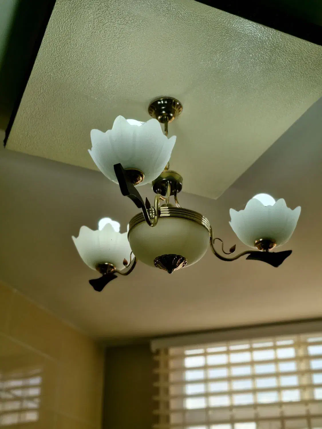 لوسترسالم دوعدد|لوستر و چراغ آویز|نجف‌آباد, ویلاشهر|دیوار