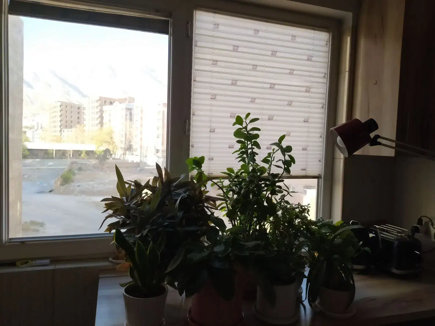 آپارتمان ۹۵ متری / گرمدره / امیر آباد / لطفی|فروش آپارتمان|گرمدره, |دیوار