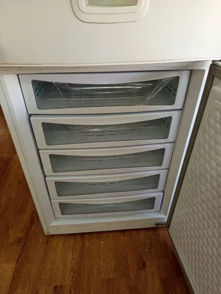 یخچال فریزر الکترواستیل|یخچال و فریزر|شیراز, تندگویان|دیوار