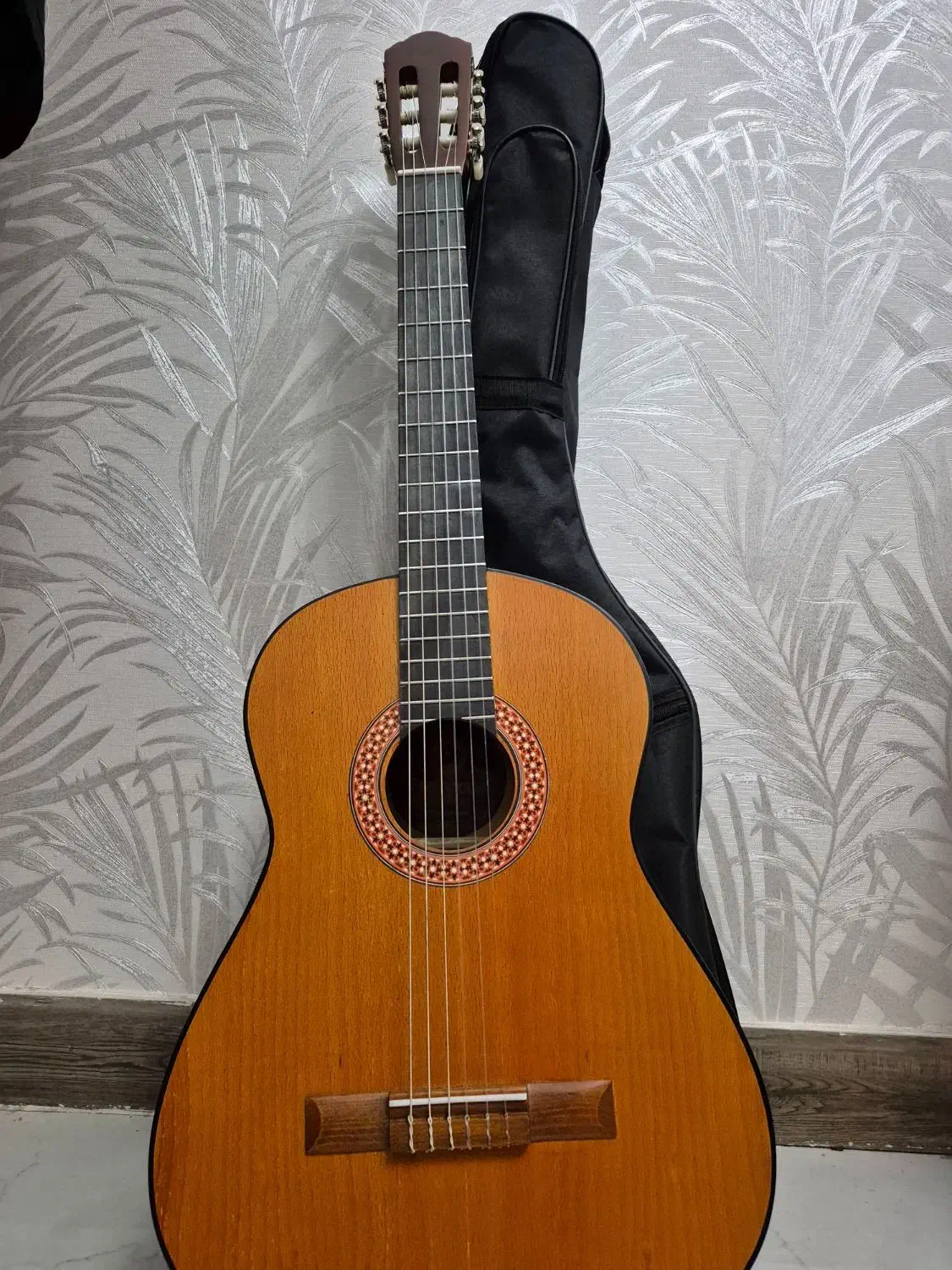 گیتار متاع پور|گیتار، بیس، امپلیفایر|میانه, |دیوار