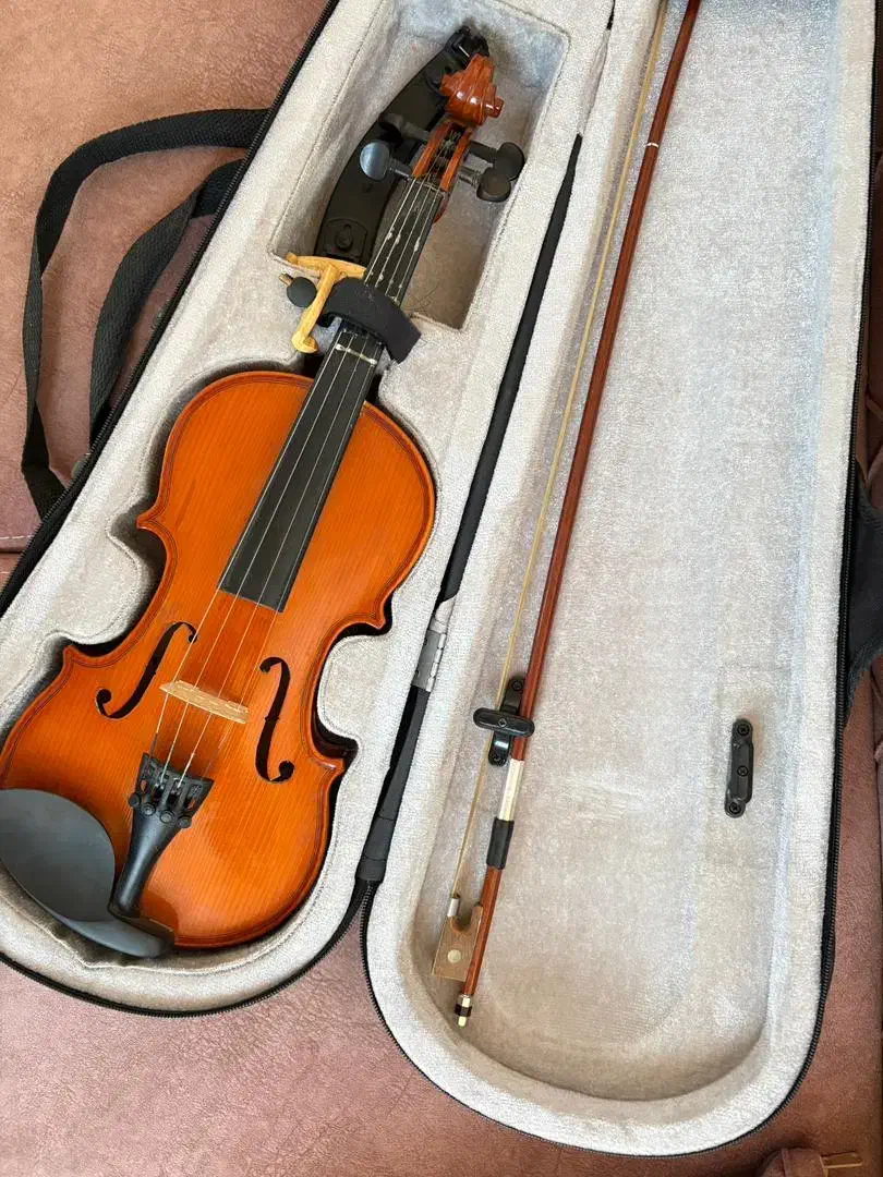 ویولن|ویولن|فلاورجان, |دیوار