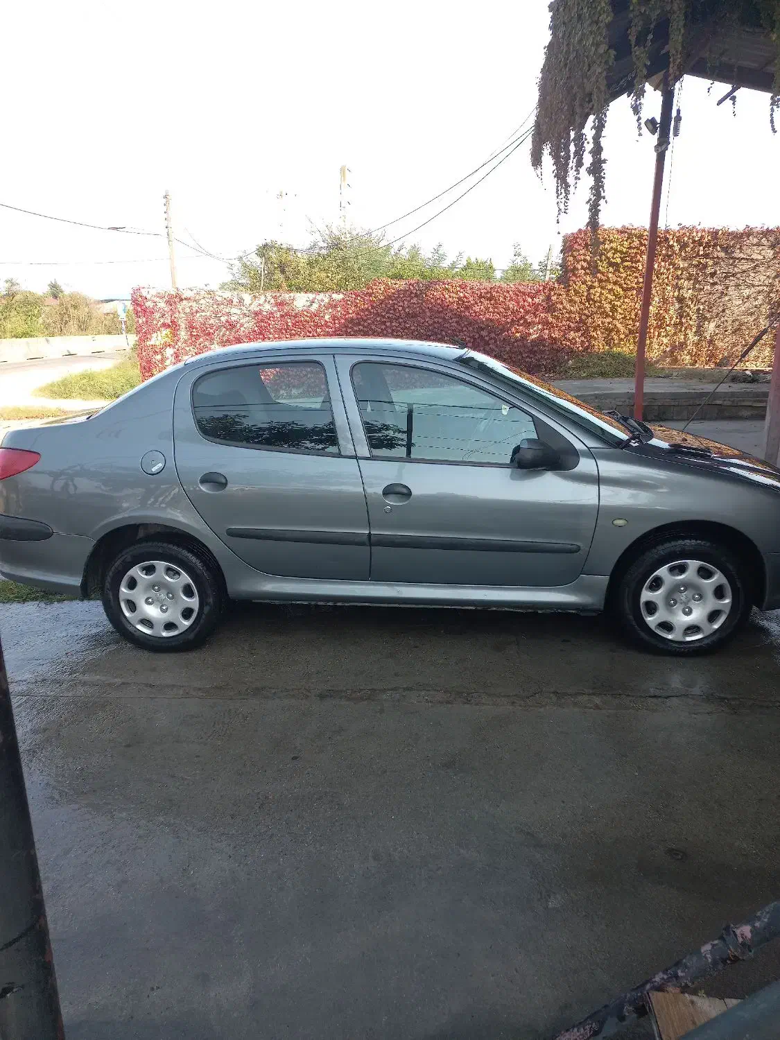 پژو ۲۰۶ اس دی وی ۸ مدل ۹۶|خودرو سواری و وانت|تنکابن, |دیوار