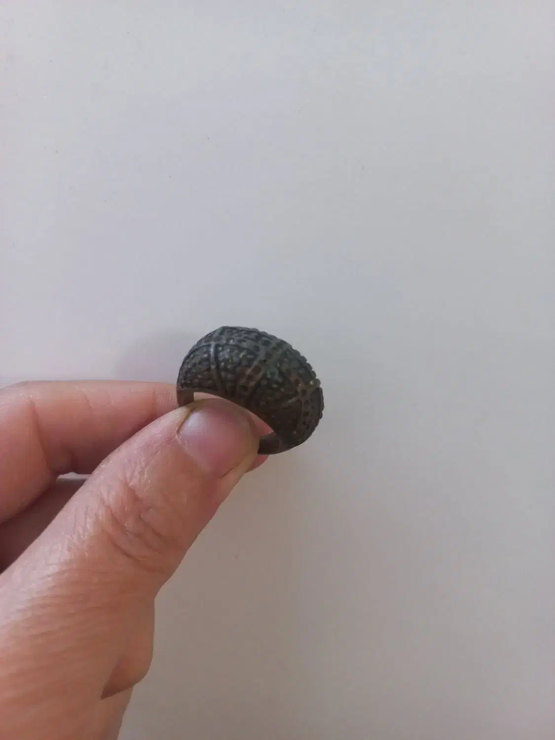 انگشتر قدیمی|کلکسیون اشیاء عتیقه|گلوگاه بابل (گلیا), |دیوار