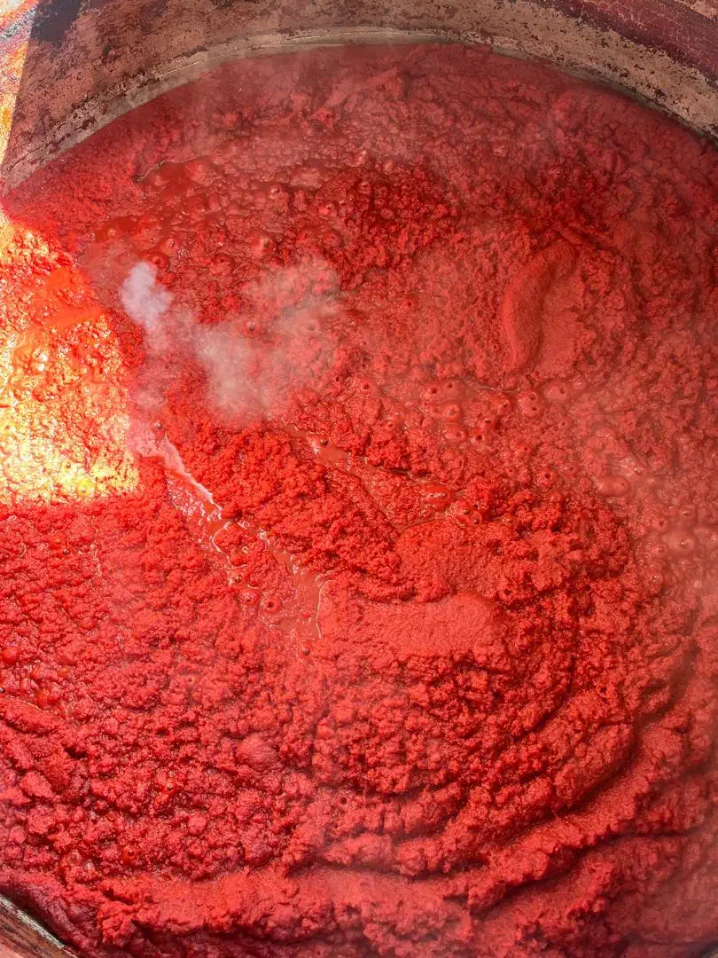 فروش رب ارگانیک وباکیفیت|خوردنی و آشامیدنی|کرج, شهرک نهال و بذر|دیوار