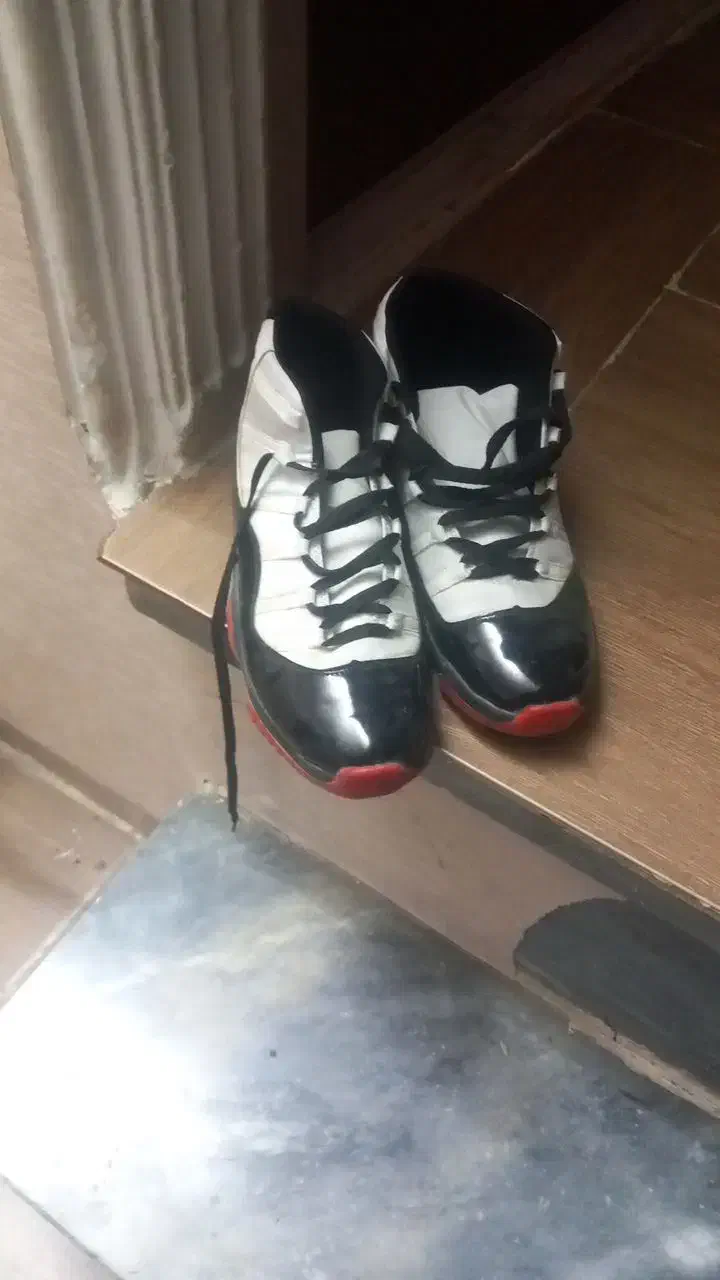 کفش|کیف، کفش، کمربند|گرگان, |دیوار