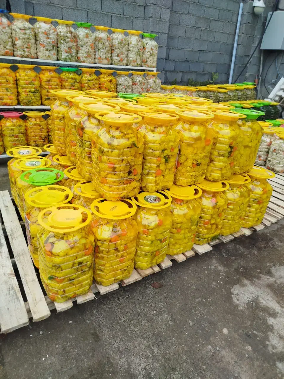 پخش  زیتون و ترشیجات و شوریجات|خوردنی و آشامیدنی|اسالم, |دیوار